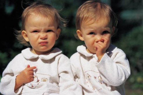 Ikerterhesség és születési rendellenesség