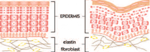 Illóolaj az illékony ifjúságra
