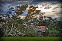 Zord szél előtt görnyednek a fák - Stylelife, divat, életmód, stílus
