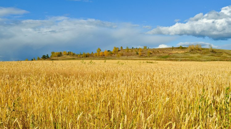 Harminchárom milliárdos beruházás Visontán