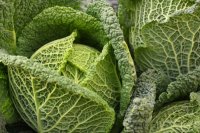 A legegészségesebb ételek - Egészség, divat, életmód, stílus