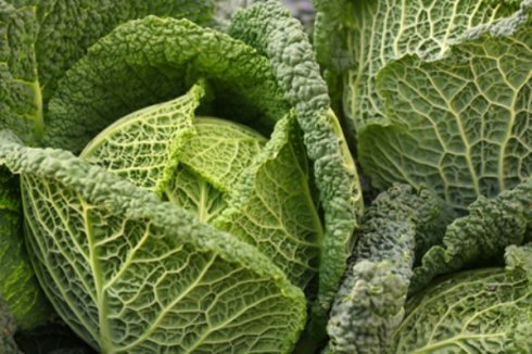 A legegészségesebb ételek