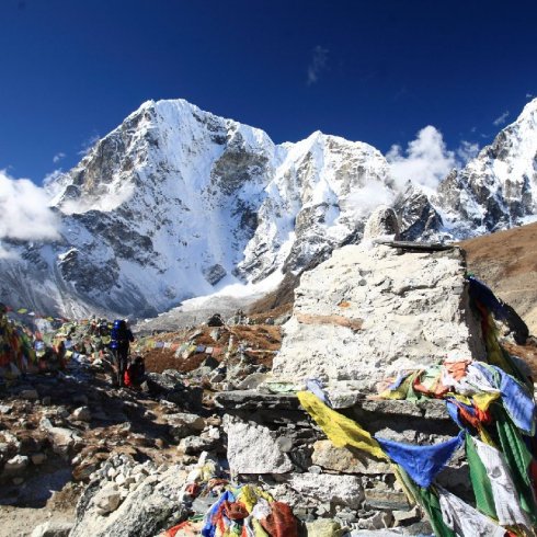 Sherpa
