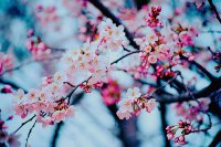 Miért nincs tél? - Stylenews, divat, életmód, stílus