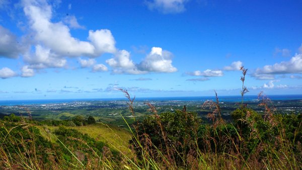 Mézeshetek Antiguán