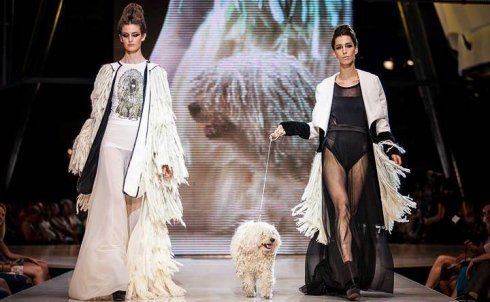 Újragombolva - 2014