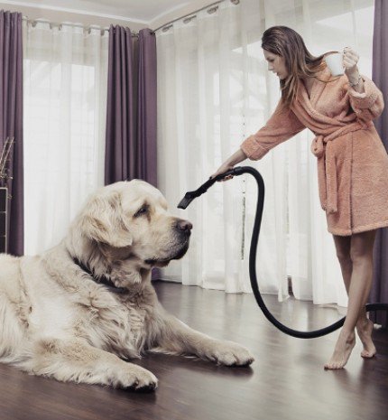 Baktériumfogók az otthonodban