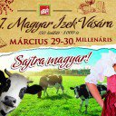 Sajtra Magyar! - Rendezvények, divat, életmód, stílus