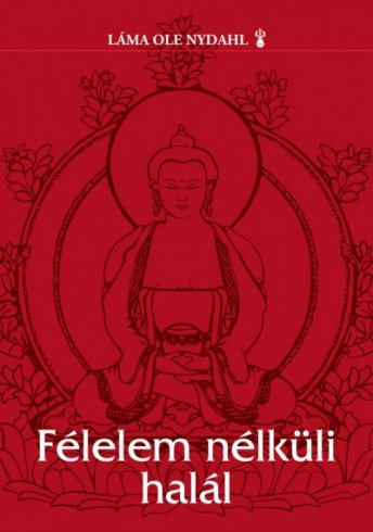 Találkoztam a Lámával!