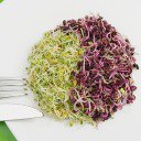 Mi fán terem a csíra I. rész - StyleKids, divat, életmód, stílus