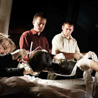 Csodás borzongás: múmiák a múzeumban - Stílus, divat, életmód, stílus