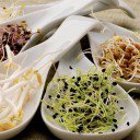 Mi fán terem a csíra II. - StyleKids, divat, életmód, stílus