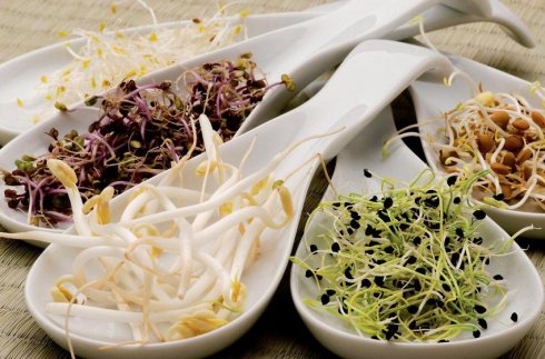 Mi fán terem a csíra II.