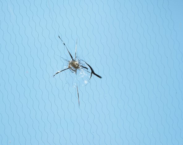 A szélvédő életet menthet