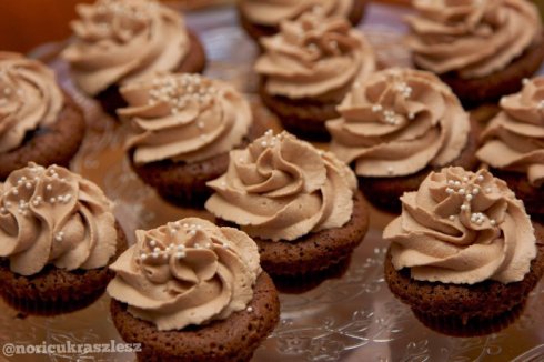 Tenyérnyi tortácskák