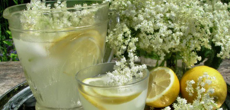 Nyárköszöntő frissítő bodzából