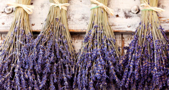 Hűsítő fűszernövényeink