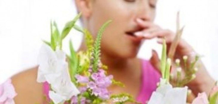 Aki a virágot nem szereti 1. rész