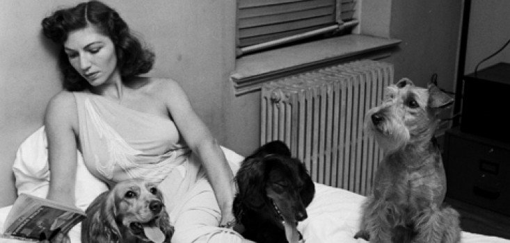 A boldogságot hamisítják