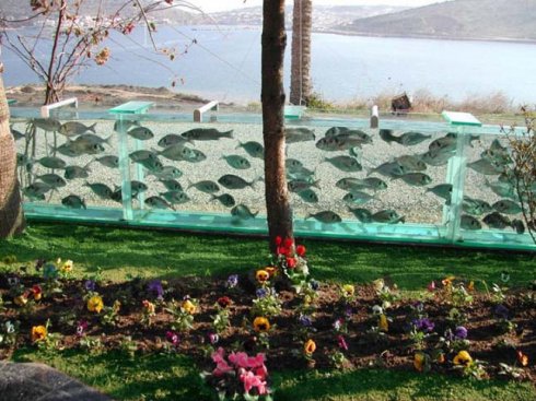 A világ első akváriumkerítése