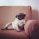 Parazitizmus - StyleKids, divat, életmód, stílus