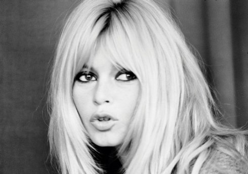 Cicaszemek lépésről lépésre