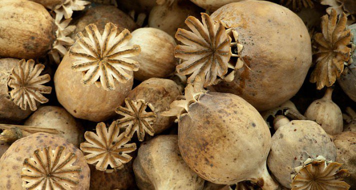 Mákolaj, a természetes nyugtató