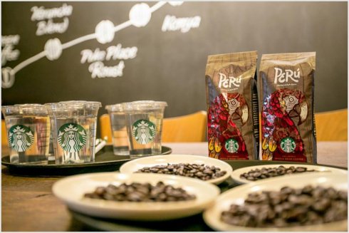 Starbucks kávékisokos