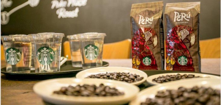 Starbucks kávékisokos