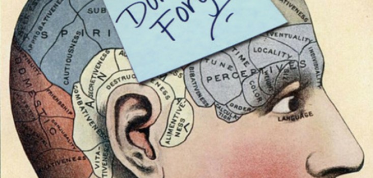 Memóriajavító étrend