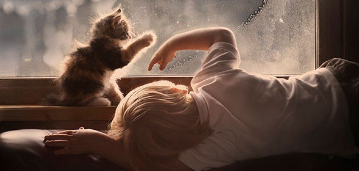 Kisbabák kiskedvenceikkel