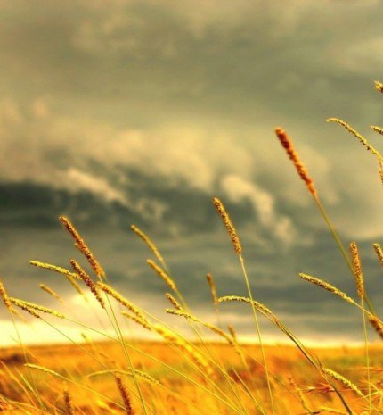 A farm, ahol élünk