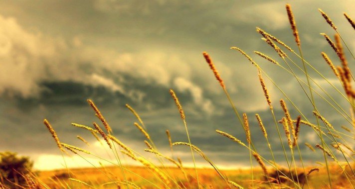 A farm, ahol élünk