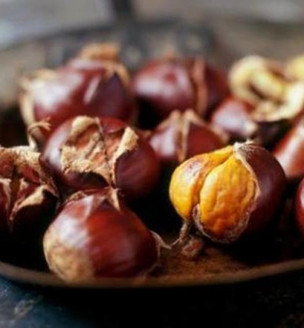 Kedvenc gesztenyetorta sütés nélkül