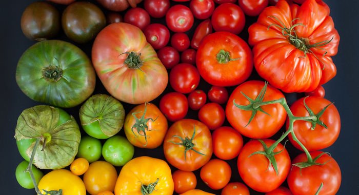 Hétköznapi tárgyak, különös köntösben