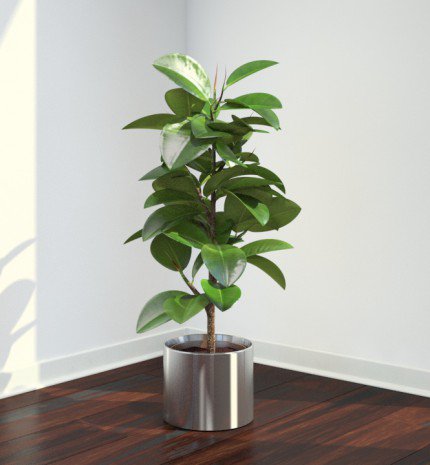 Szobanövények, amelyek tisztítják a levegőt