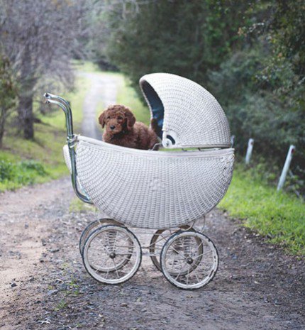 Újszülött fotózás, kicsit másképp!