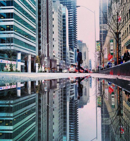 A pocsolyák párhuzamos világa