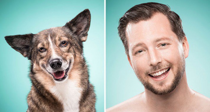 Ezért jó barátja az embernek a kutya