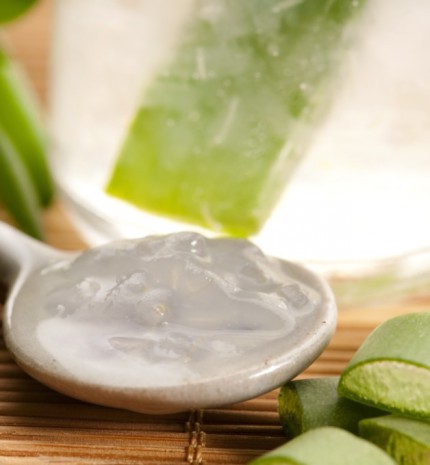 Az áldásos aloe vera