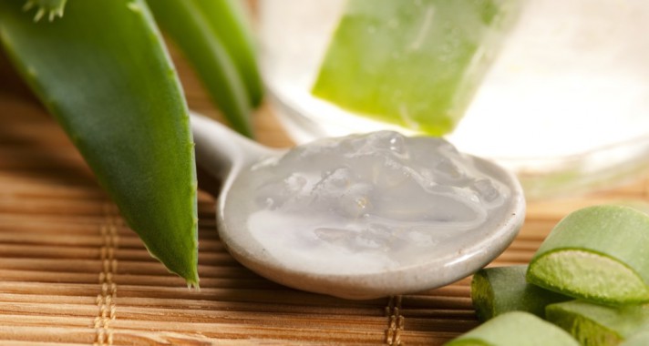 Az áldásos aloe vera