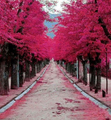 Utak, melyeken egyszer végig kell menned