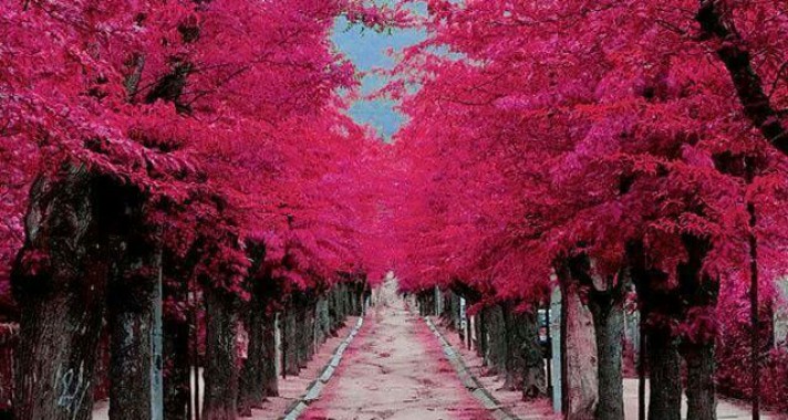 Utak, melyeken egyszer végig kell menned