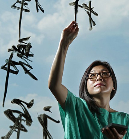 Tudtad-e? - 5 tévhit a kínaiakról