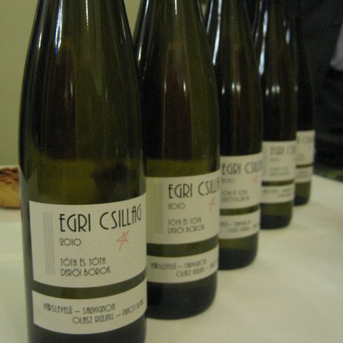 Egri borok bemutatója az MTA-ban