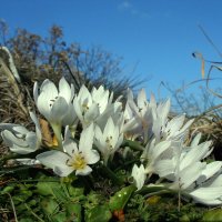 Kikerics túra a Szársomlyón - Utazás, divat, életmód, stílus