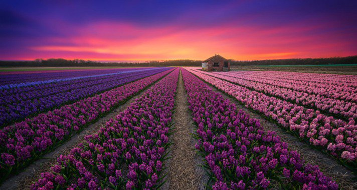 Lenyűgöző Hollandia