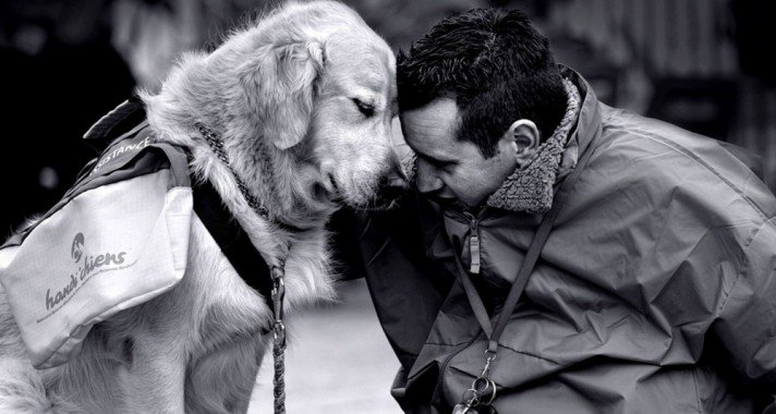 A boldog állatokért