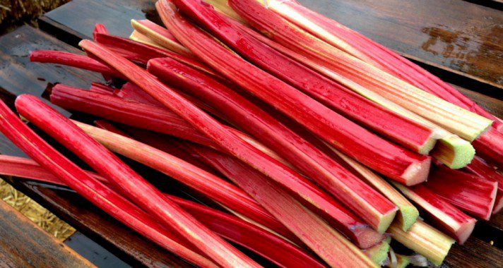 7 ok, amiért szeretjük a rebarbarát