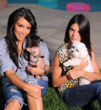 Hírességek, akik két fotó után túladtak a kisállataikon